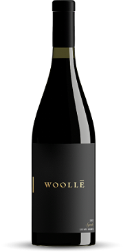 Bottle of 2022 Syrah Wine