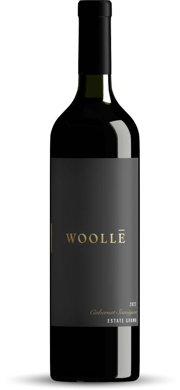 Cabernet Sauvignon bottle