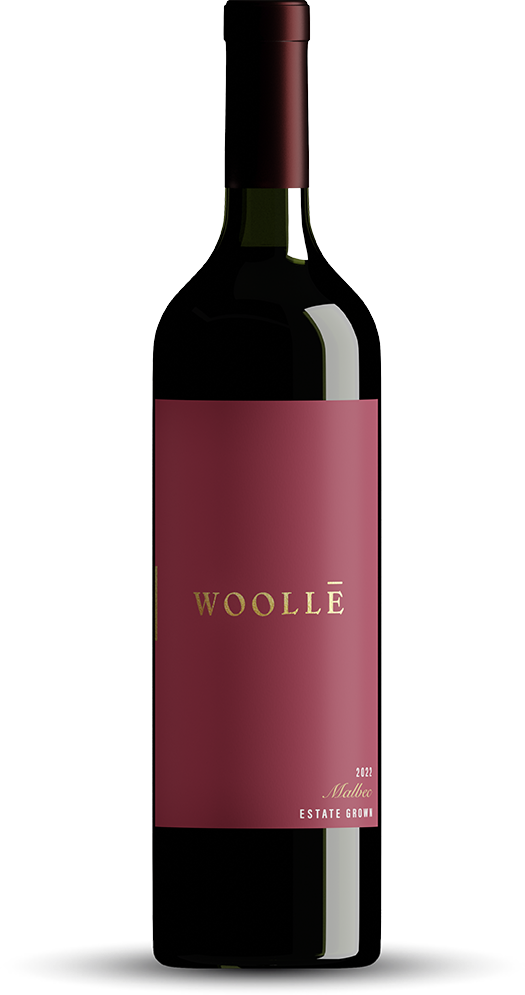 large malbec wine bottle